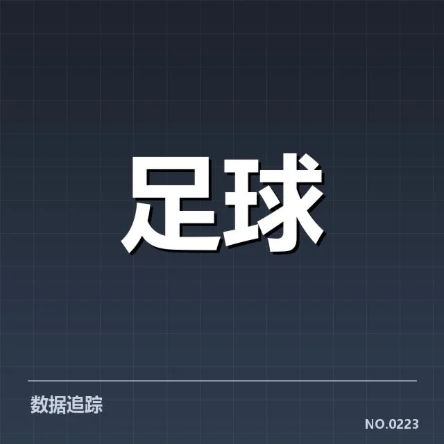 公开数据揭示的布鲁日财政现况